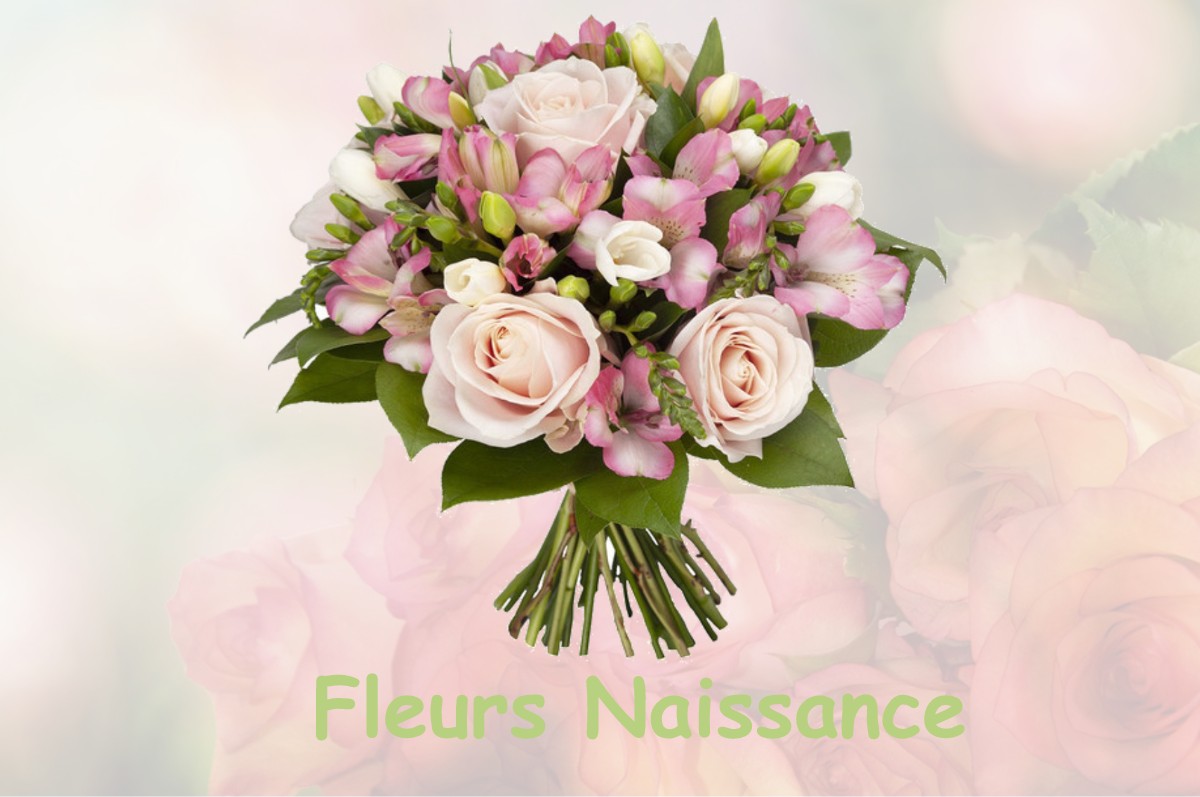 fleurs naissance SAINT-JORY