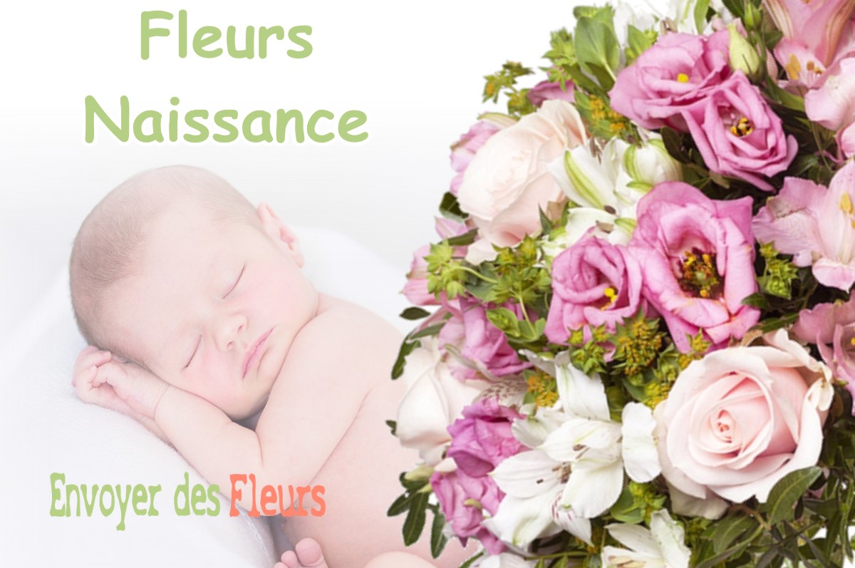 lIVRAISON FLEURS NAISSANCE à SAINT-JORY