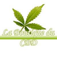 LA BOUTIQUE DU CBD SAINT-JORY 